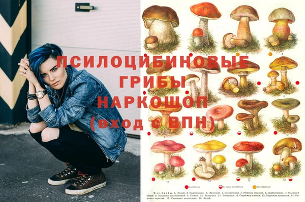 не бодяженный Балахна