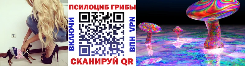 Псилоцибиновые грибы мицелий  Реутов 